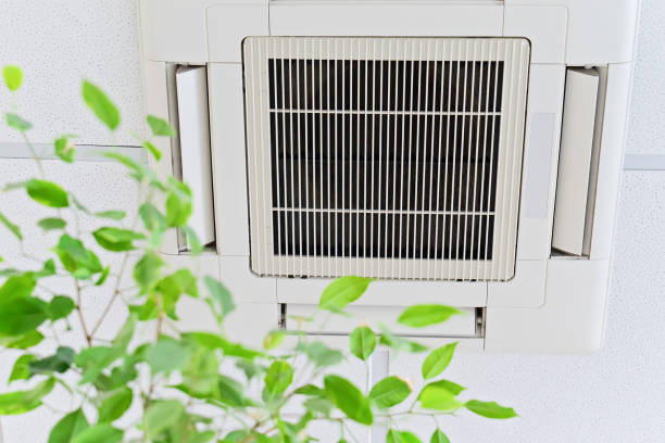 Best Air Vent Cleaning Services  in Schler Park, IL